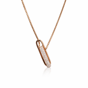 The Duo Link Necklace